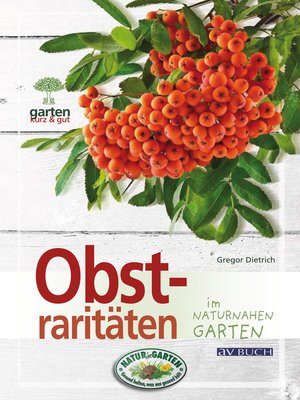 cover image of Obstraritäten